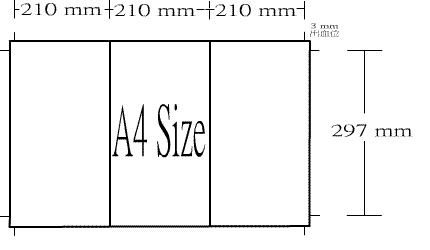 Parallel Fold Long Leaflets